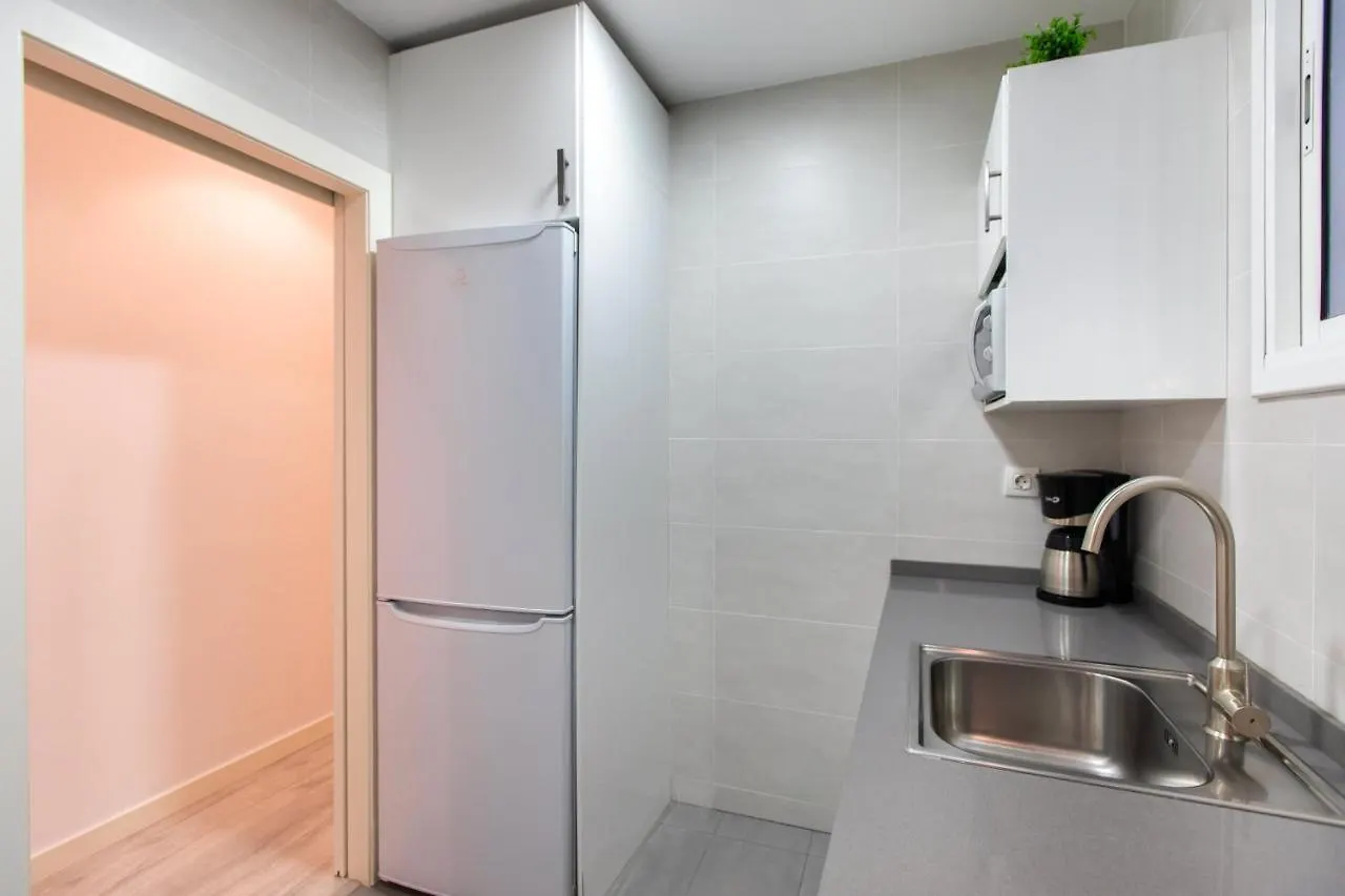 Pere Serafi 2 bedroom apartment Barcelona 0*,